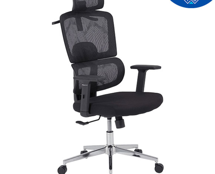 Ghế Công Thái Học The One GLE09A