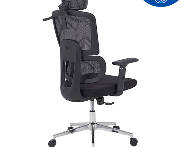 Ghế Công Thái Học The One GLE09A