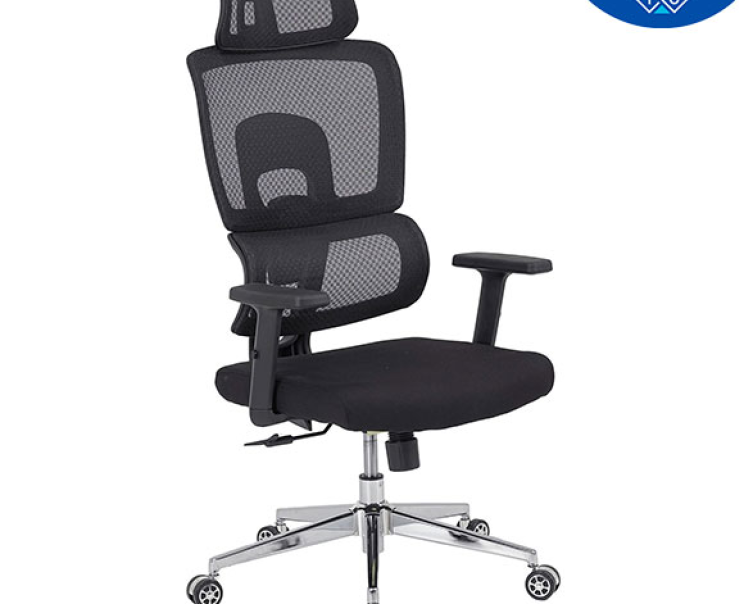 Ghế Công Thái Học The One GLE09B