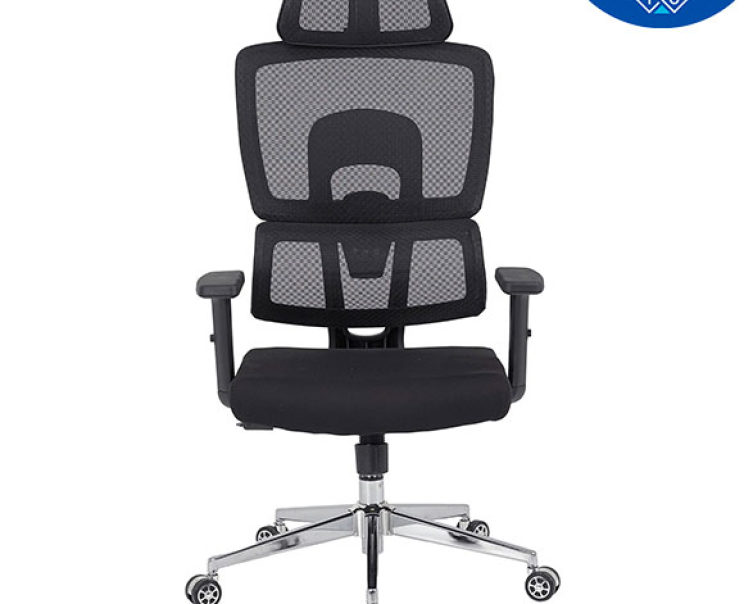 Ghế Công Thái Học The One GLE09B