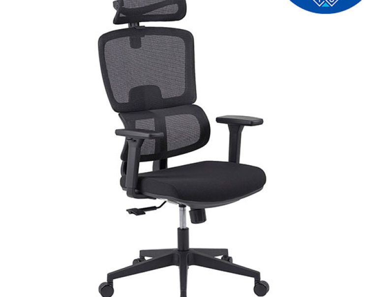 Ghế Công Thái Học The One GLE09C