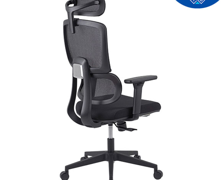 Ghế Công Thái Học The One GLE09C