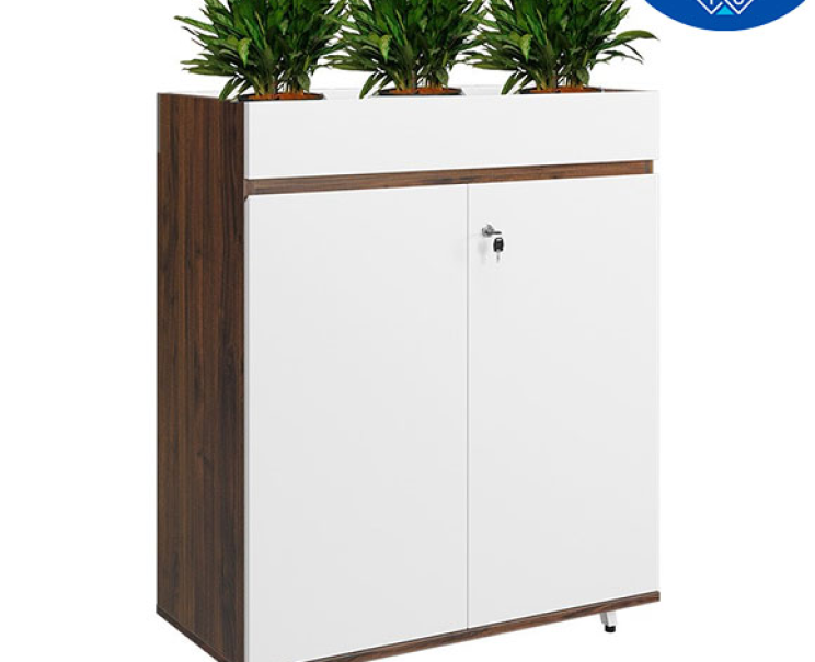Tủ Gỗ The One LUX1000-2T2