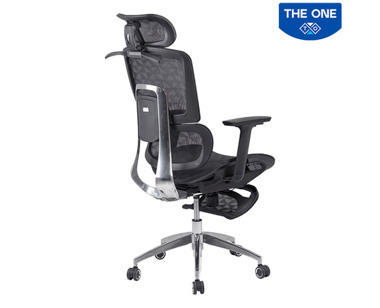 Ghế Công Thái Học The One GLE13
