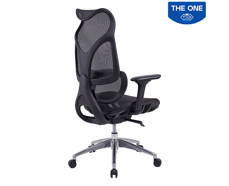 Ghế Công Thái Học The One GLE14